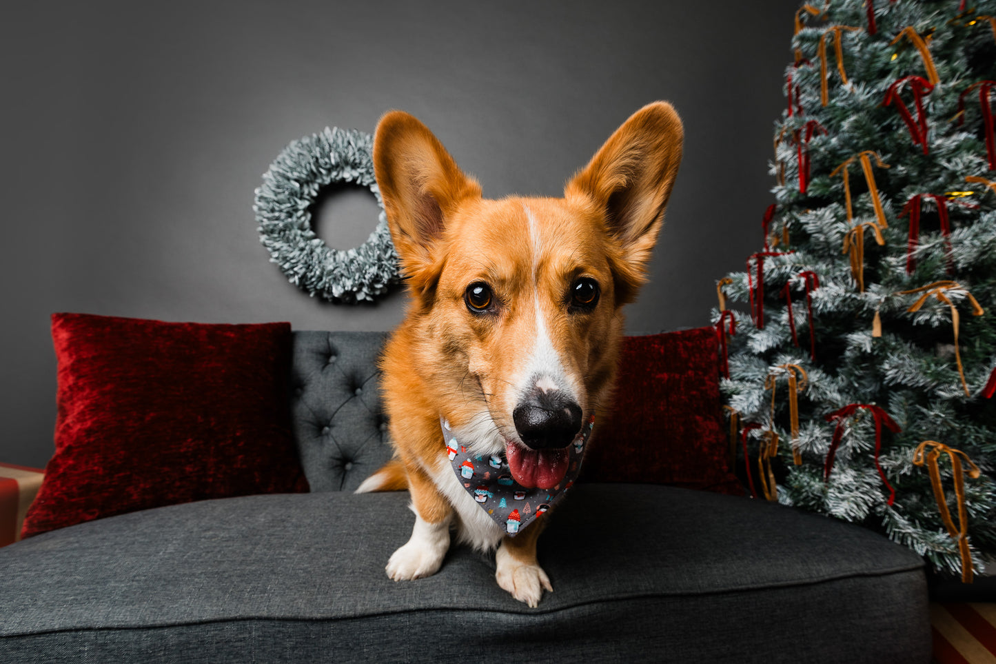 Seasonal Themed Mini Photography Session