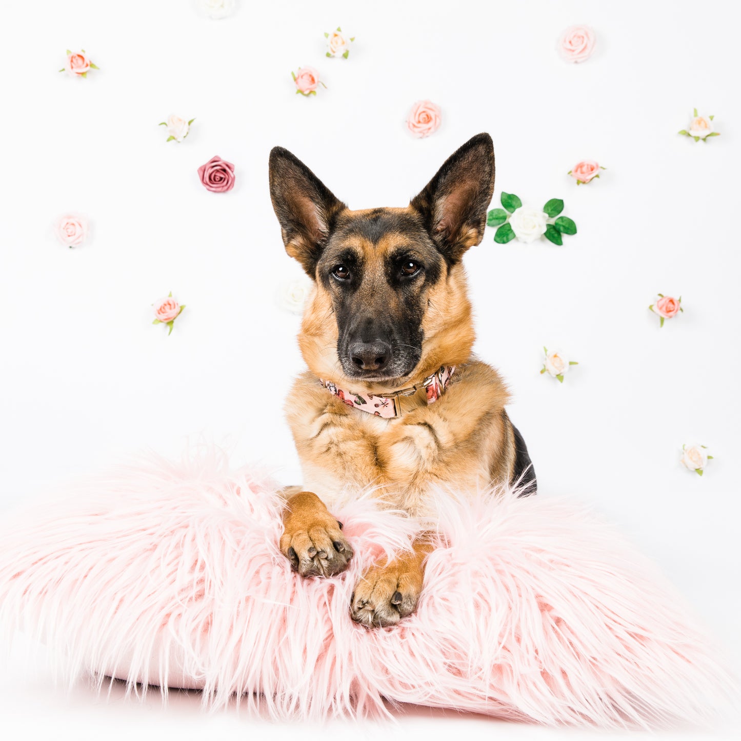Seasonal Themed Mini Photography Session