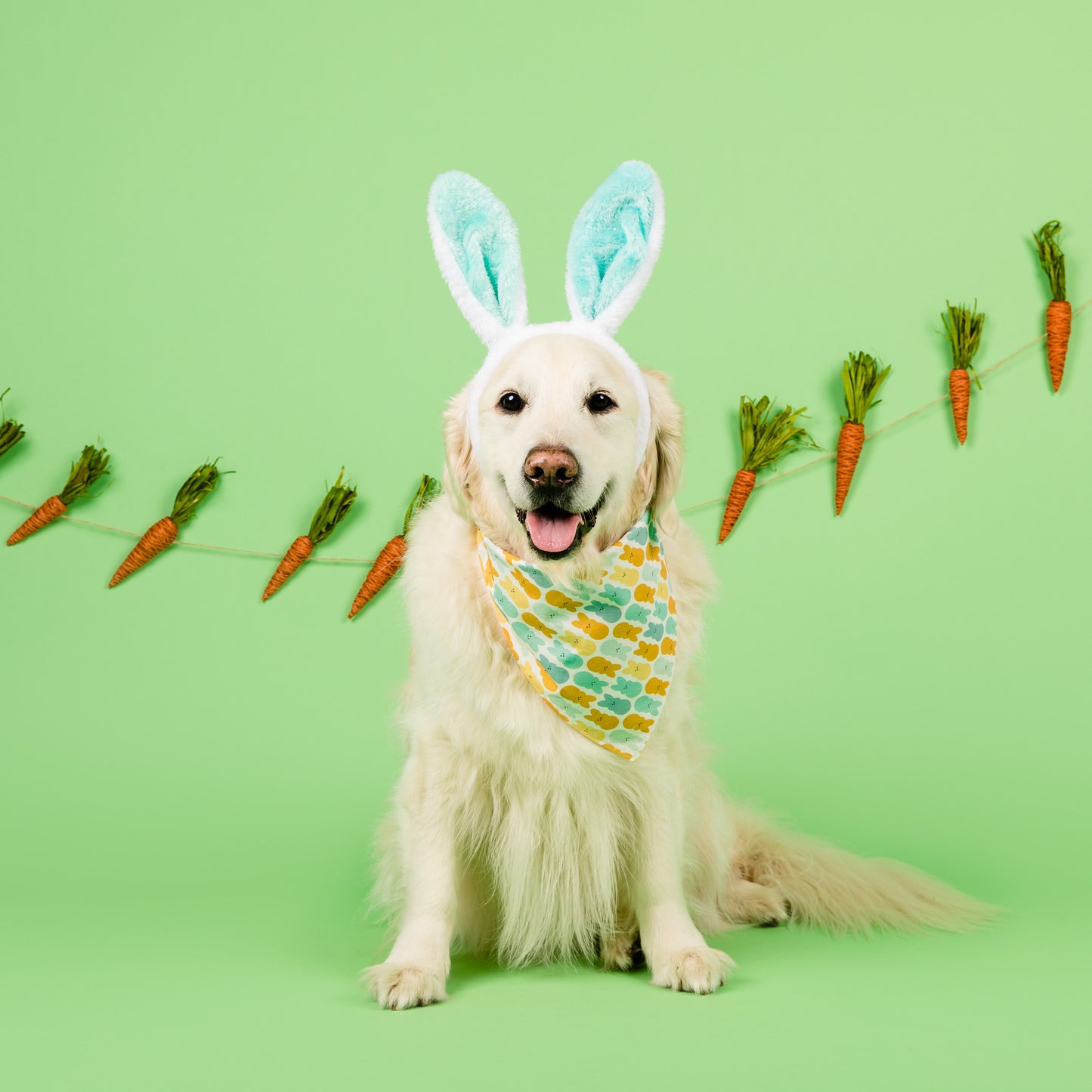Seasonal Themed Mini Photography Session