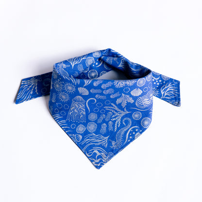 Under the Sea Reversible Bandana