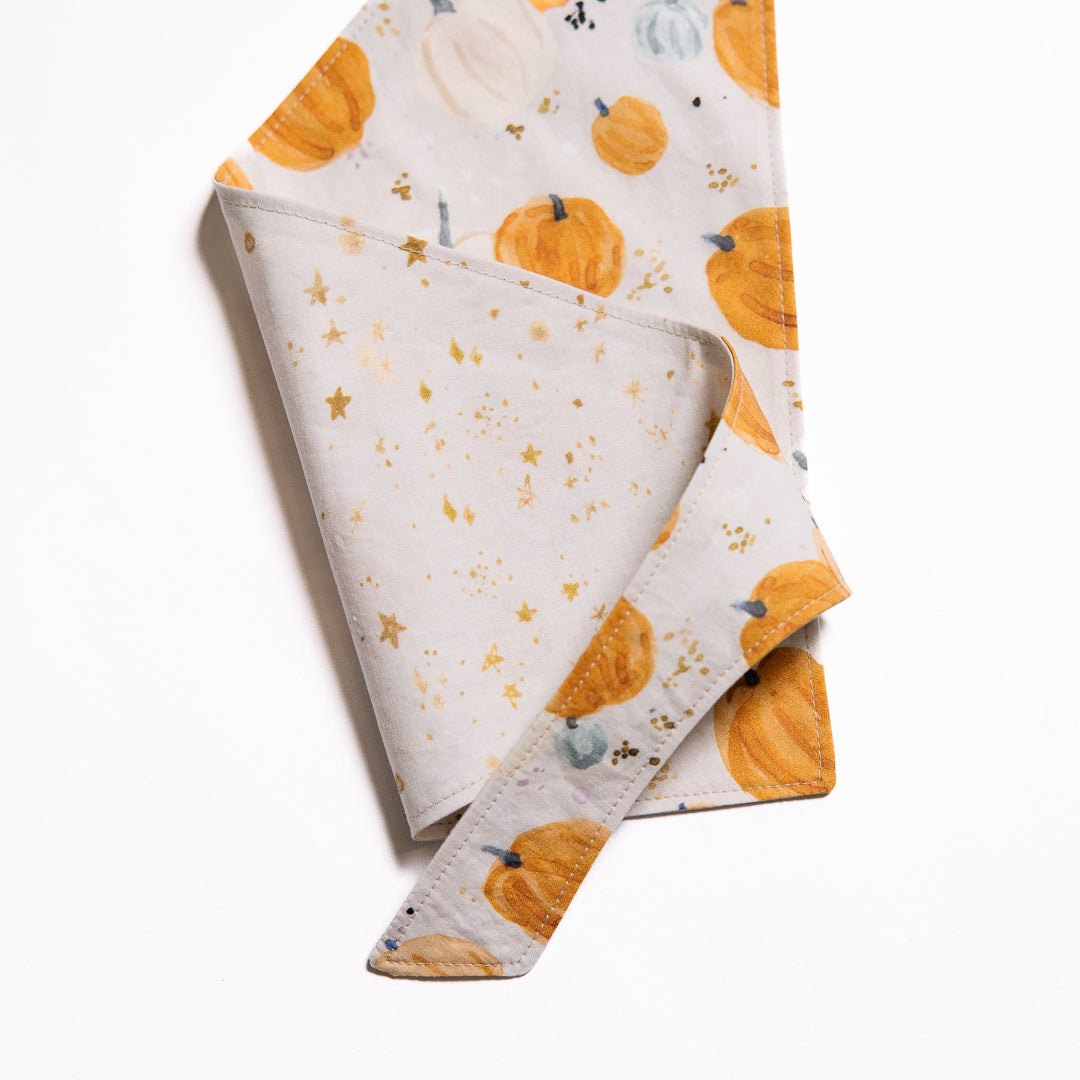 Watercolour Pumpkins Bandana