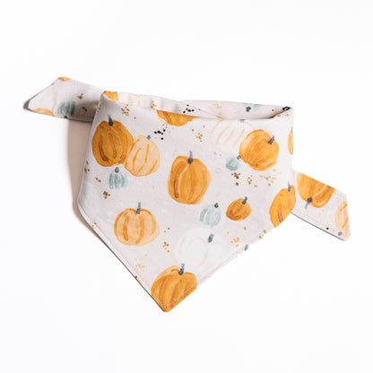 Watercolour Pumpkins Bandana