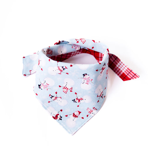 Frosty Reversible Bandana