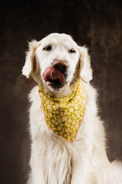 Meadow Bandana