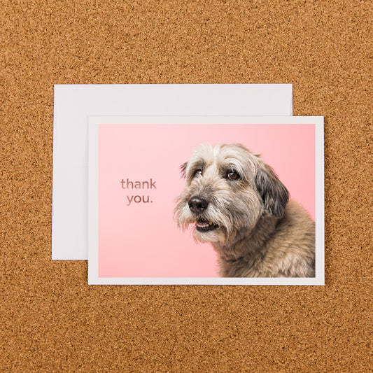 Thank You Card