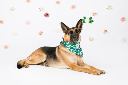 Cacti Bandana