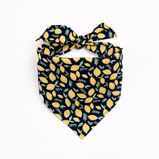 Lemony Bandana