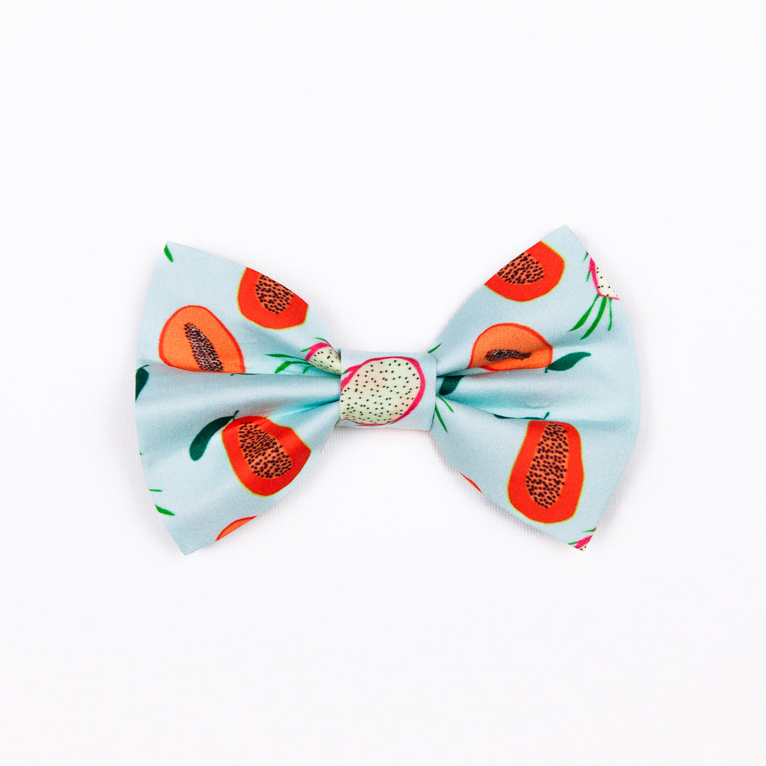 Papaya! Bow tie