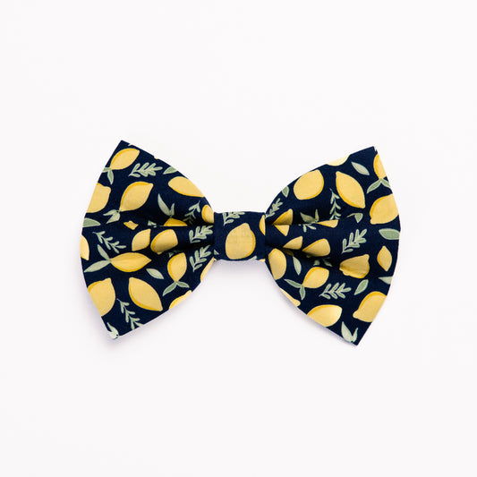 Lemony Bow tie