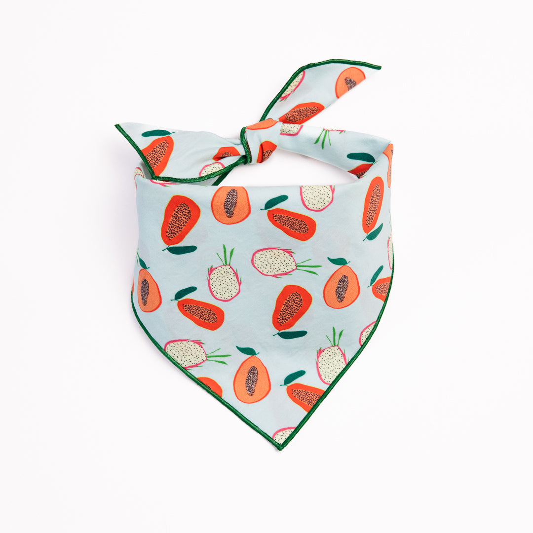 Papaya in Cotton Poplin Green Hem Bandana