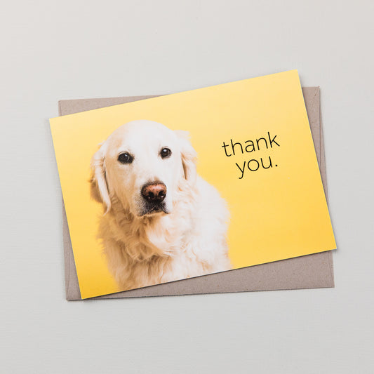 Golden Retriever Thank you Card