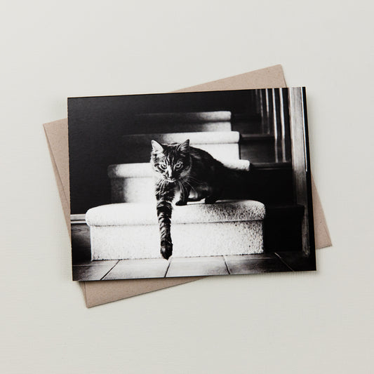 Black and white Kitty Card