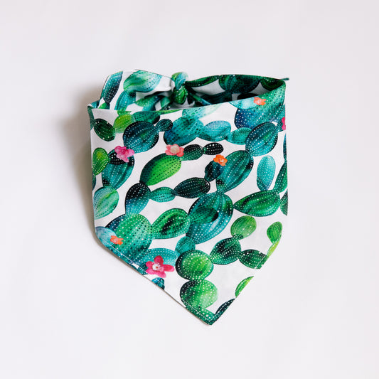 Cacti Bandana