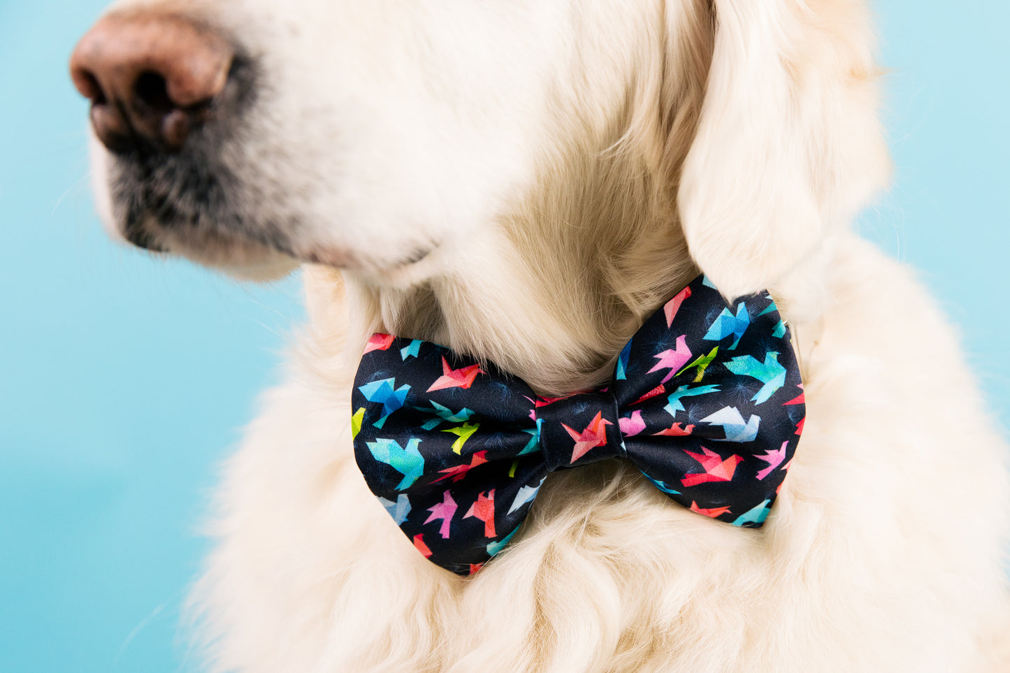 Navy Origami Bird Bow tie