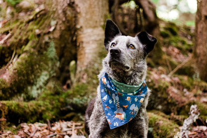 Happy Camper Reversible Bandana