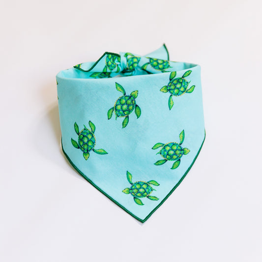 Totally Turtles in Blue Bandana