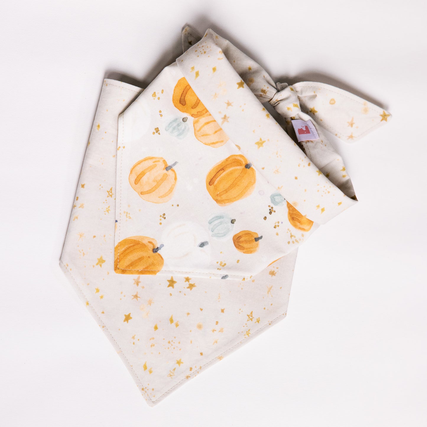 Watercolour Pumpkins Bandana